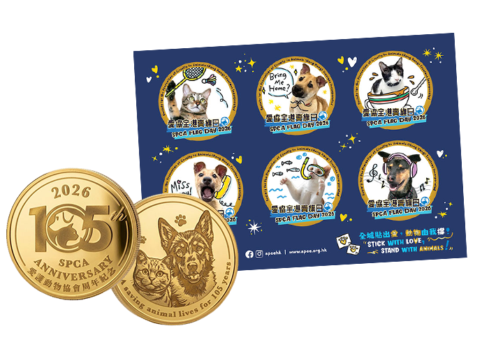 Gold Flag Set B
