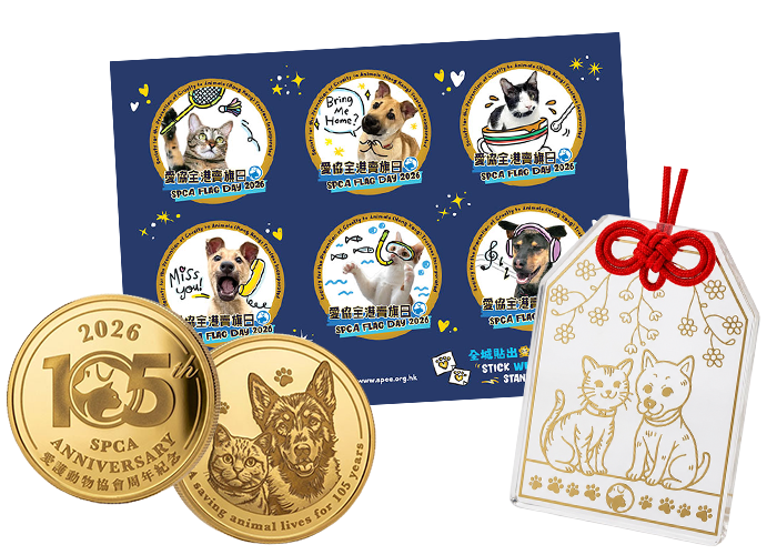 Gold Flag Set C
