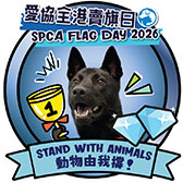 Diamond Paw — Sales of HK$2,000